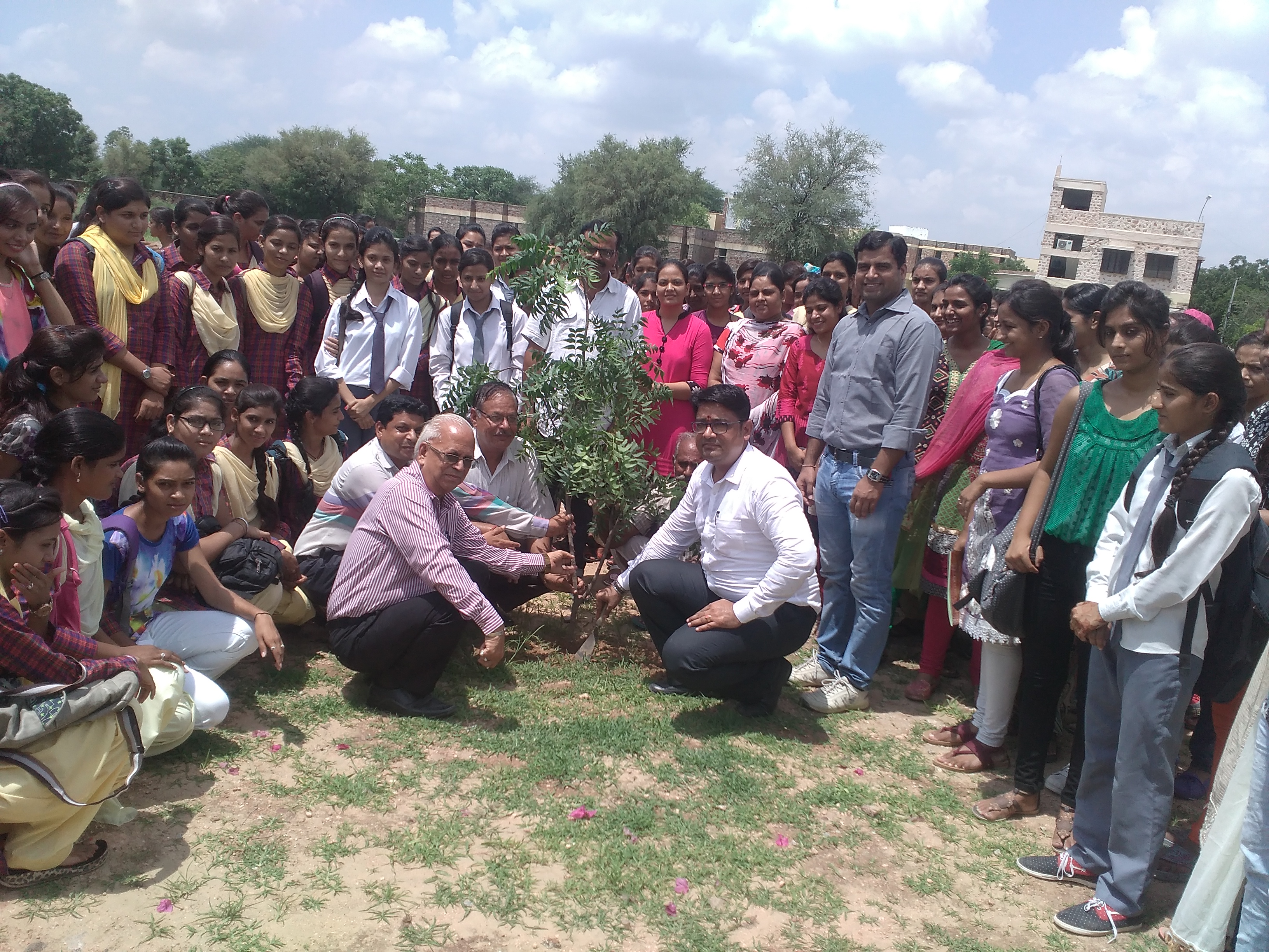 Tree Plantation by NSS 2016